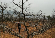 百米冠军谈经验(打一成语),砥砺前行，成就辉煌之路