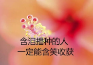 致自己的人生感悟语录,启迪心灵，指引前行