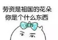 搞笑顺口溜段子,趣味横生的搞笑顺口溜集锦