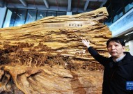 每日大赛校园大赛反差美女直播脱全身衣服不穿上视频爱奇艺搜索