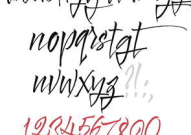 存字开头的成语,传承智慧，凝聚文化精髓”