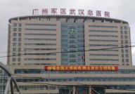 广州军区武汉总医院,历史沿革与现代化医疗服务典范”