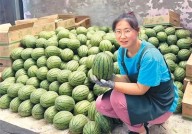 吃瓜在线看3秒挑出“梦中情瓜” “验瓜师”火了你“吃瓜”了吗？