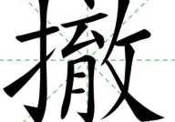 摇字开头的成语,揭秘摇字开头的成语智慧”