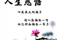 经典人生的句子,经典语录中的哲理与启示